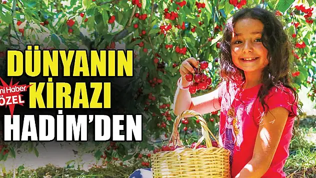 Dünyanın kirazı Hadim'den