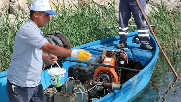 Beyşehir Gölü'nde sinekle mücadele çalışması