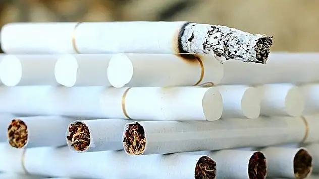 'Sigara her yıl 7 milyondan fazla kişinin ölüm nedeni'