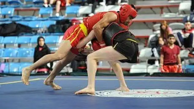 Wushu Avrupa'da yeni yapılanma istiyor