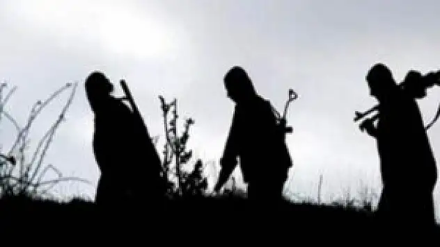 2 terörist teslim oldu