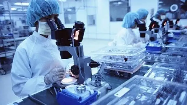 Yumurta Üreten Kök Hücreler Bulundu