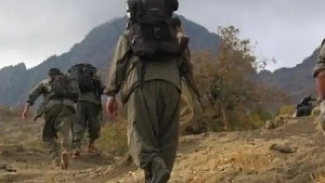 Şırnak'ta 12 PKK'lı teslim oldu