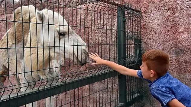 Karatay'dan öğrencilere Bilim Merkezi ve hayvanat bahçesi gezisi yapıldı