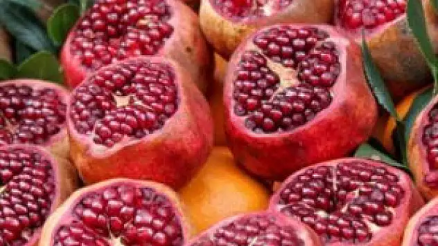 Nar, Alzheimer düşmanı çıktı