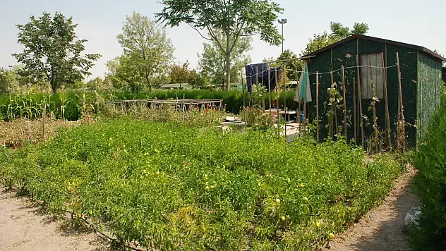 Karatay'daki hobi bahçeleri yeni yerine taşınıyor