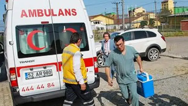 Organ bağışında yeni düzenleme