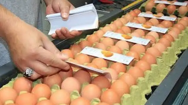 Türk yumurtası Rusya yolcusu