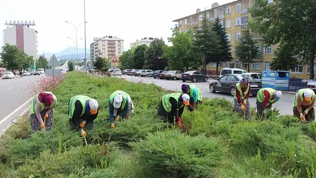 Seydişehir'de kavşak ve refüjler renkleniyor