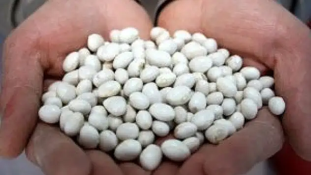 Kuru fasulyeye yeniden gümrük vergisi getirildi