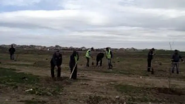 7 bin 500 fidan toprakla buluşuyor