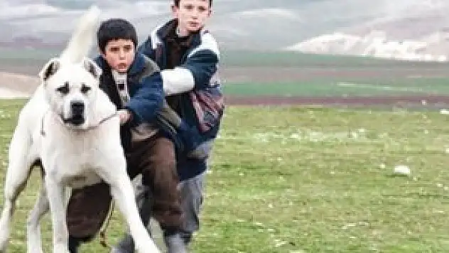 Venedik'ten 2 ödülle döndü