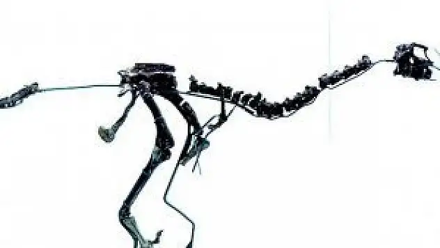 Yeni bir dinozor türünün fosili bulundu