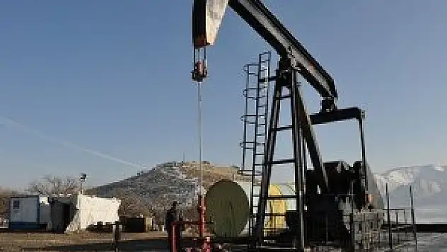 Petrol aramaya tam gaz devam