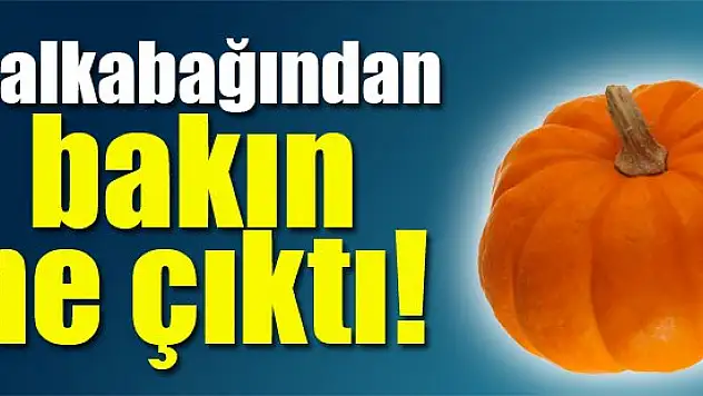 Balkabağından bakın ne çıktı!