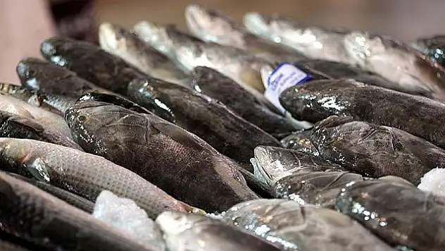 Av yasağı kalktı balık fiyatları düştü