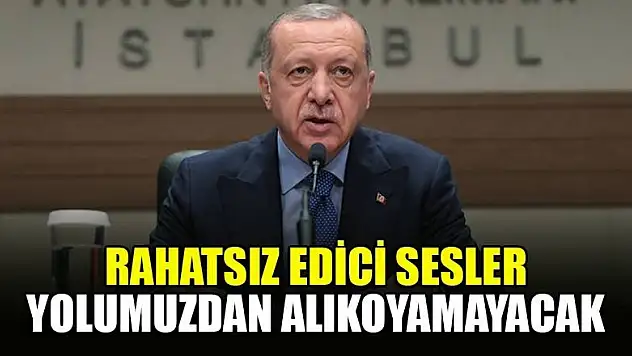 Erdoğan: Doğu Akdeniz'deki rahatsız edici sesler yolumuzdan alıkoyamayacak