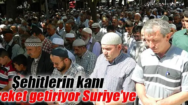 Şehitlerin kanı bereket getiriyor Suriye'ye