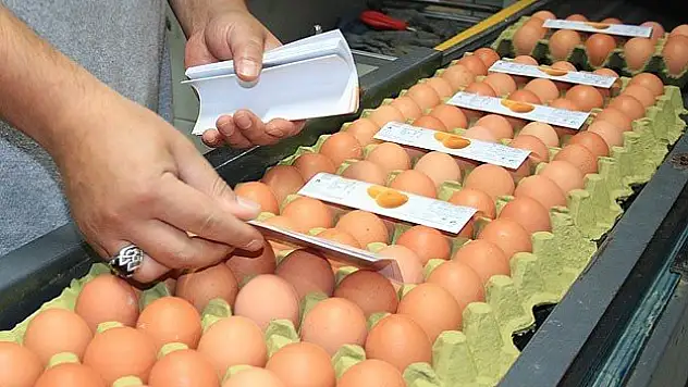 Türkiye'nin Rusya'ya ihracat potansiyeli yüksek