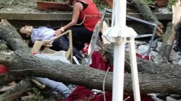 Ağaç faciasında bir kötü haber daha