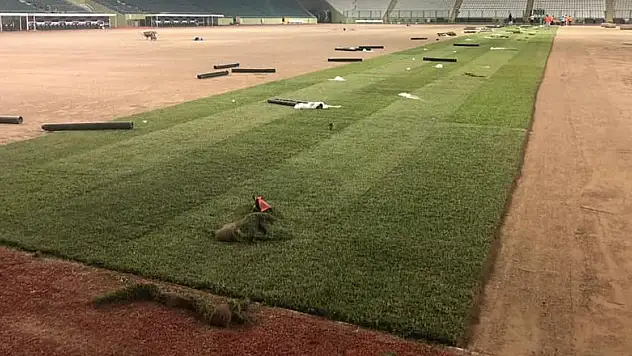 Konya Büyükşehir Stadı'nda çimler seriliyor