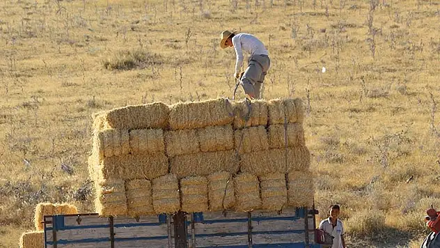 Karapınar'da buğday hasatında sona gelindi
