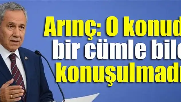 Arınç: O konuda bir cümle bile konuşulmadı