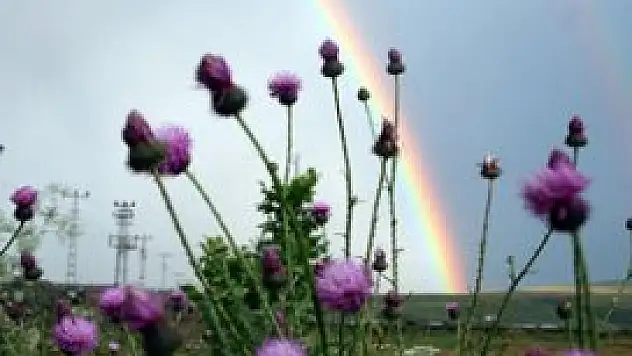 Meteoroloji uyardı: Aşırı sıcak yağış getirecek