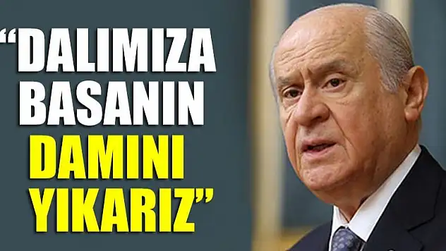 Devlet Bahçeli: Dalımıza basanın damını yıkarız