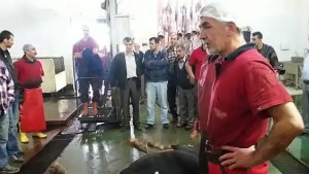 Kurbana ''eziyetin'' cezası 2 bin 281 lira