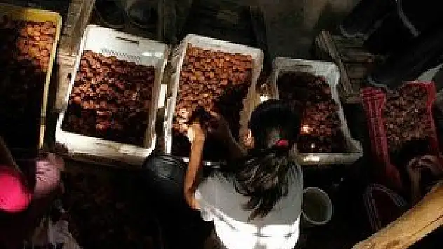 4 milyon kadın kayıt dışı çalışıyor