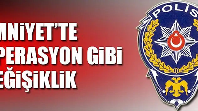 Emniyet personelinin yurt dışı görev süresi 1 yıla indirildi