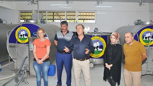 Sarayönü süt üreticilerine AB desteği