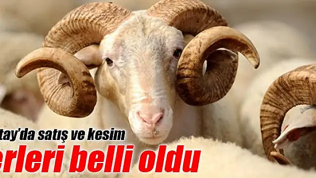 Karatay'da kurban satış ve kesim yerleri belli oldu