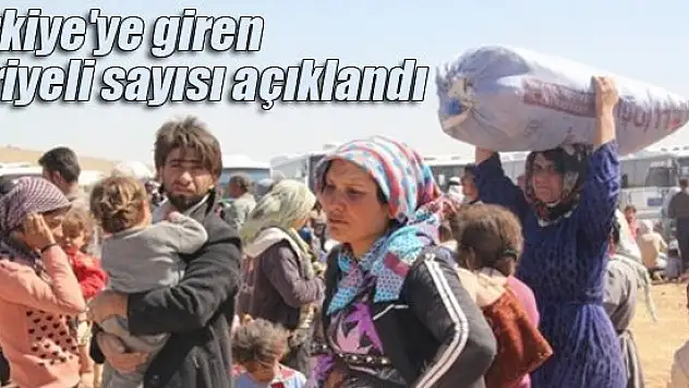 Türkiye'ye giren Suriyeli sayısı açıklandı