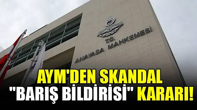 AYM'den skandal 'barış bildirisi' kararı!