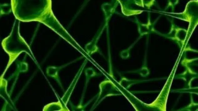 Vücudumuzda her gün kanser hücreleri oluşuyor