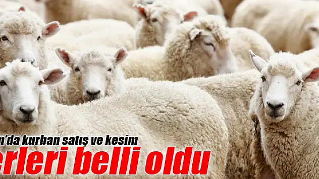 Meram'da kurban satış ve kesim yerleri belli oldu