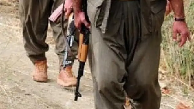 Almanya'dan flaş PKK kararı