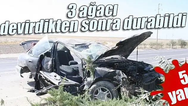 Otomobil 3 ağacı devirdikten sonra durabildi