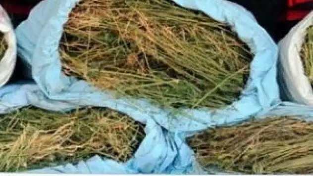 Malatya'da 64 kilogram esrar ele geçirildi