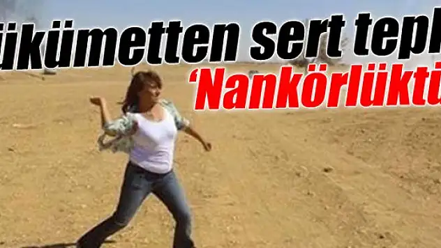 Akdoğan: Bu nasıl bir nankörlüktür?