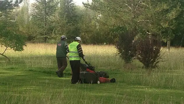 Ereğli'de yeşil alanlar düzenleniyor