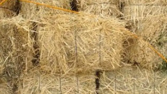 İthalat fiyatları düşürdü