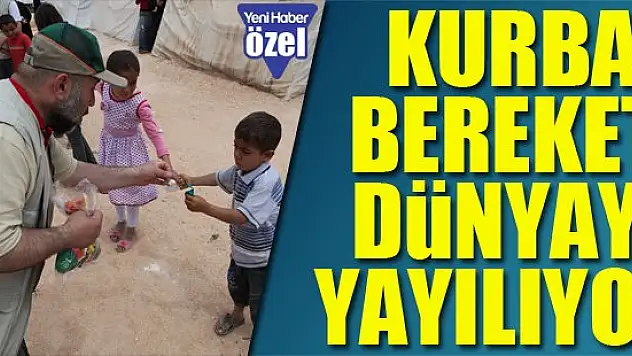 Kurban bereketi dünyaya yayılıyor