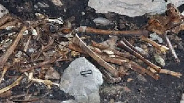 Hastane inşaatında 22 mezar bulundu