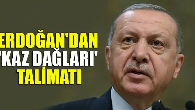 Başkan Erdoğan'dan 'Kaz Dağları' talimatı