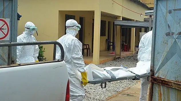 IMF'den Ebola için 130 milyon dolarlık yardım