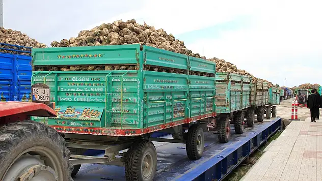 Konya Şeker'in pancar alım kampanyaları başladı