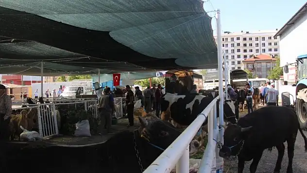 Seydişehir Kurban Bayramı'na hazır